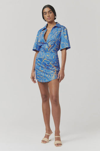 Gabby Panelled Mini Dress